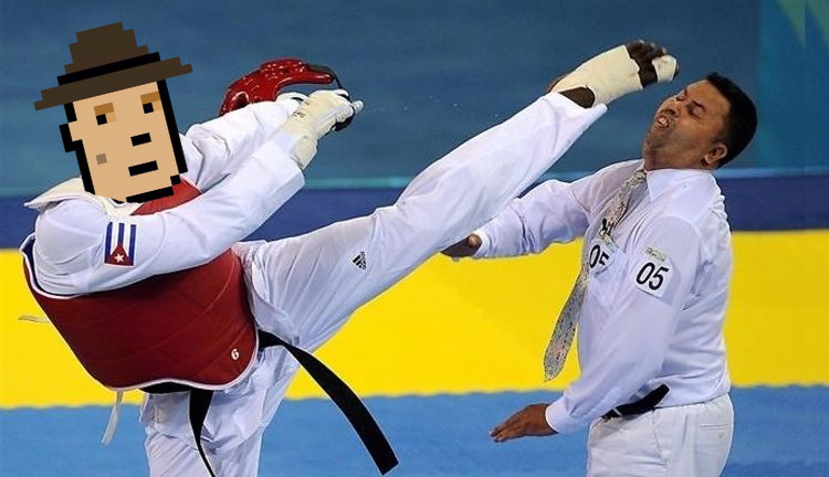 Taekwondo high kick